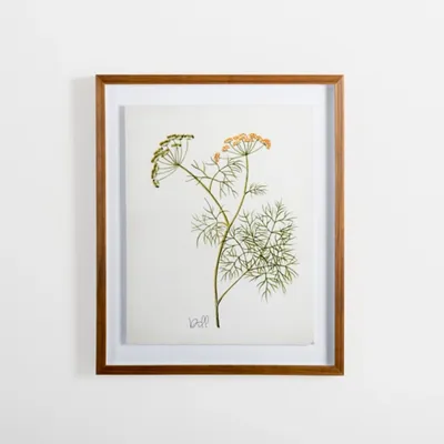 Golden Leaves Herbs Dill Framed Art Print