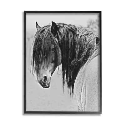 Monochrome Serene Horse Black Framed Canvas Print