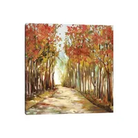 Sunny Path Canvas Art Print