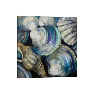 Key West Shells Canvas Art Print