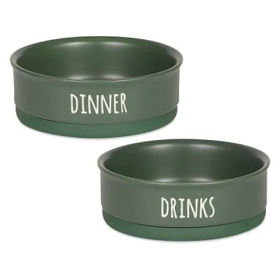 Green Dinner & Drinks 2-pc. Pet Bowl Set, 6 in.