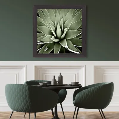 Green Succulent III Framed Canvas Art