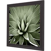 Green Succulent III Framed Canvas Art