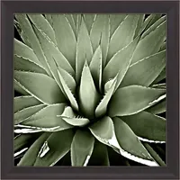 Green Succulent III Framed Canvas Art