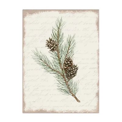 Christmas Pine and Cone Canvas Art Print