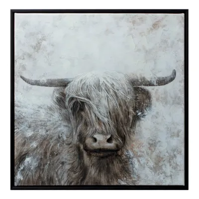 Looking at You Highland Framed Canvas Art Print
