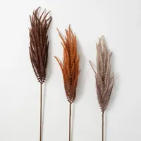 Autumn Feather Grass Stems, Set of 3