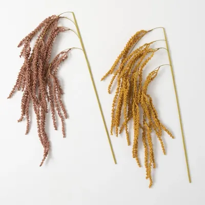 Whisping Fall Amaranthus Stems, Set of 2