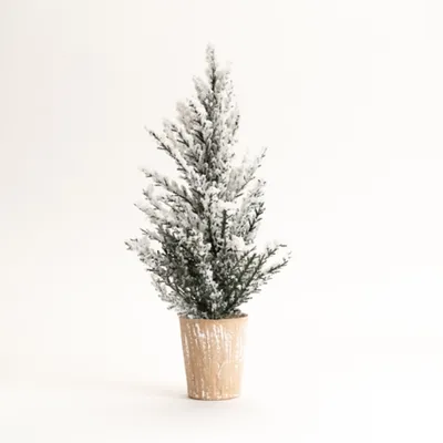 16 in. Potted Snowy Pine Trees, Set of 4