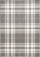 Gray Priya Plaid Indoor/Outdoor Area Rug, 5x7