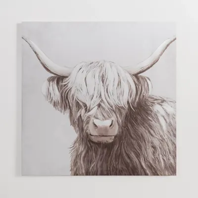 Shy Highland Cow Canvas Art Print