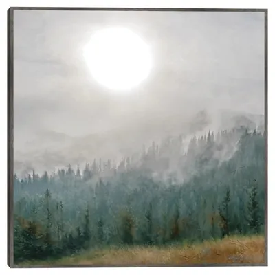 Mountain Moonglow Framed Canvas Art Print