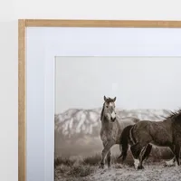 Horse Friends Framed Art Print