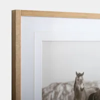 Horse Friends Framed Art Print