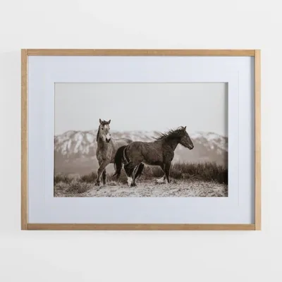 Horse Friends Framed Art Print