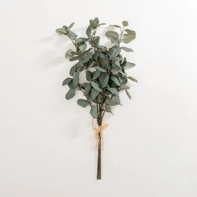 Green Eucalyptus Leaf Bundles, Set of 3