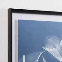 Blue Floral X-Ray Framed Art Prints, Set of 3