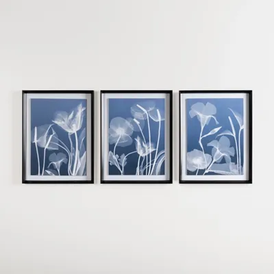 Blue Floral X-Ray Framed Art Prints, Set of 3