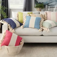 and Ivory Striped Tassel Pillow