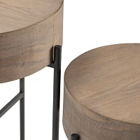Round Light Wood and Metal Accent Tables, Set of 2