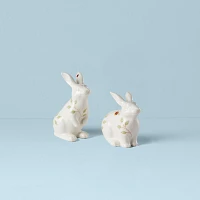 Botanical Bunny Salt and Pepper Shaker Set