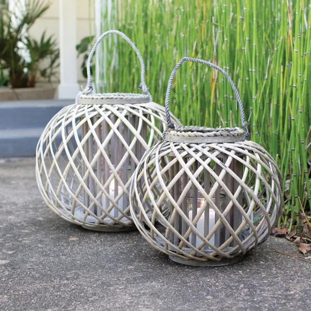 Barnes and Noble Willow: A Guide to Growing and Harvesting - Plus 20  Beautiful Woven Projects