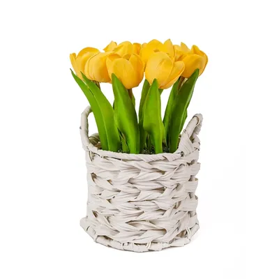 Yellow Tulip Arrangement in Basket