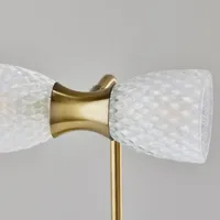 Gold Metal and Dual Glass Shade Table Lamp