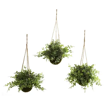 Eucalyptus and Berry Hanging Baskets, Set of 3
