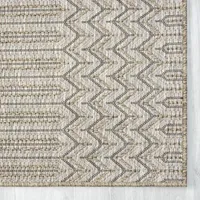 Tan Chevron Indoor/Outdoor Area Rug, 5x7