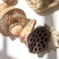 Natural Dried Botanical Garland