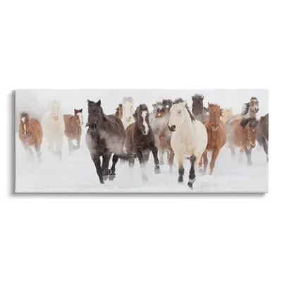 Wild Winter Horses Canvas Art Print