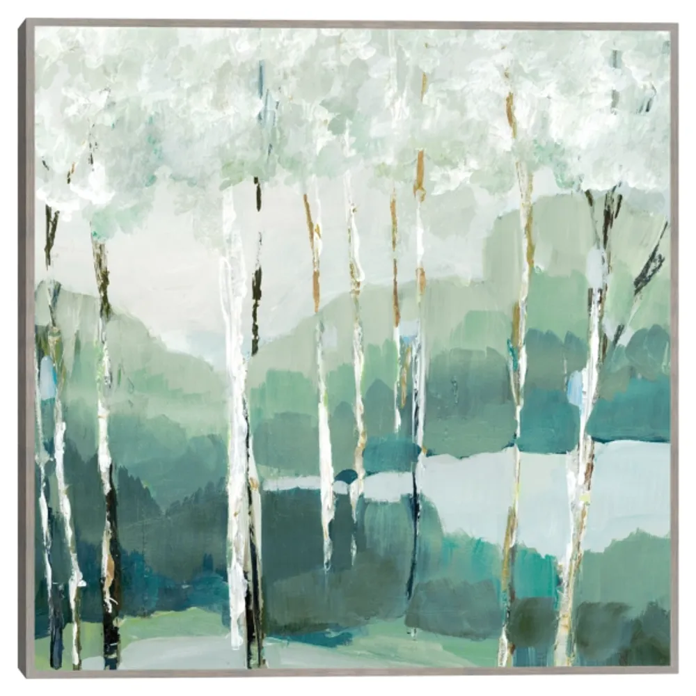 Quiet Birch Forest II Framed Canvas Art Print