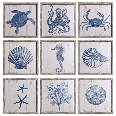 Sea Creatures Framed Wood Art Prints, Set of 9