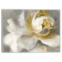 Abstract Rose Framed Canvas Art Print