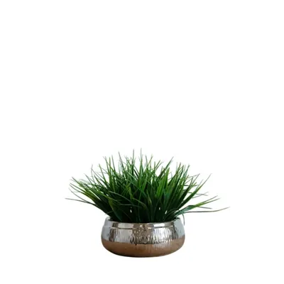 Grass Arrangement in Silver Ceramic Bowl