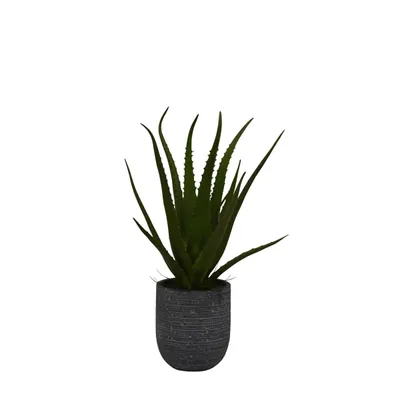 Agave Arrangement in Gray Decorative Pot