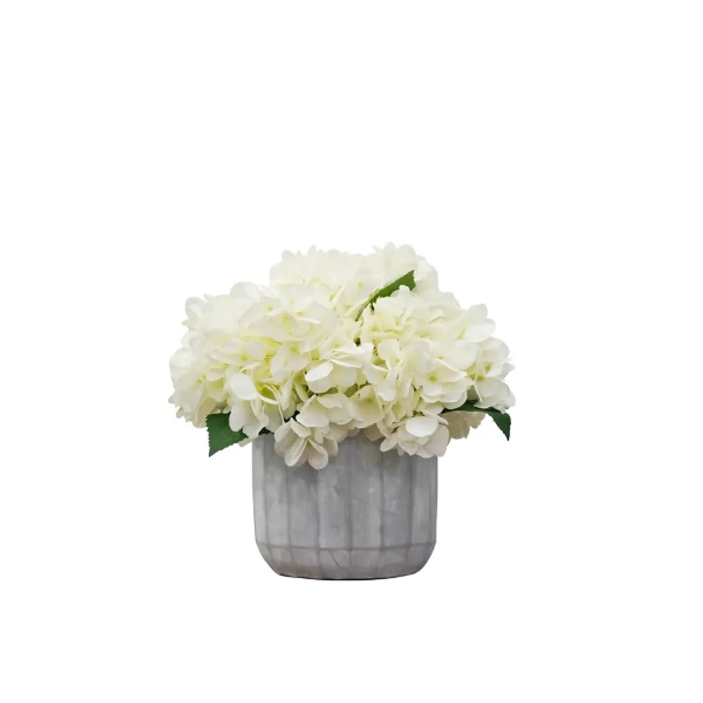 Cream Hydrangea Arrangement in Cement Planter