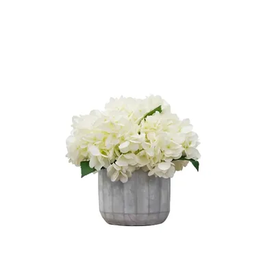 Cream Hydrangea Arrangement in Cement Planter