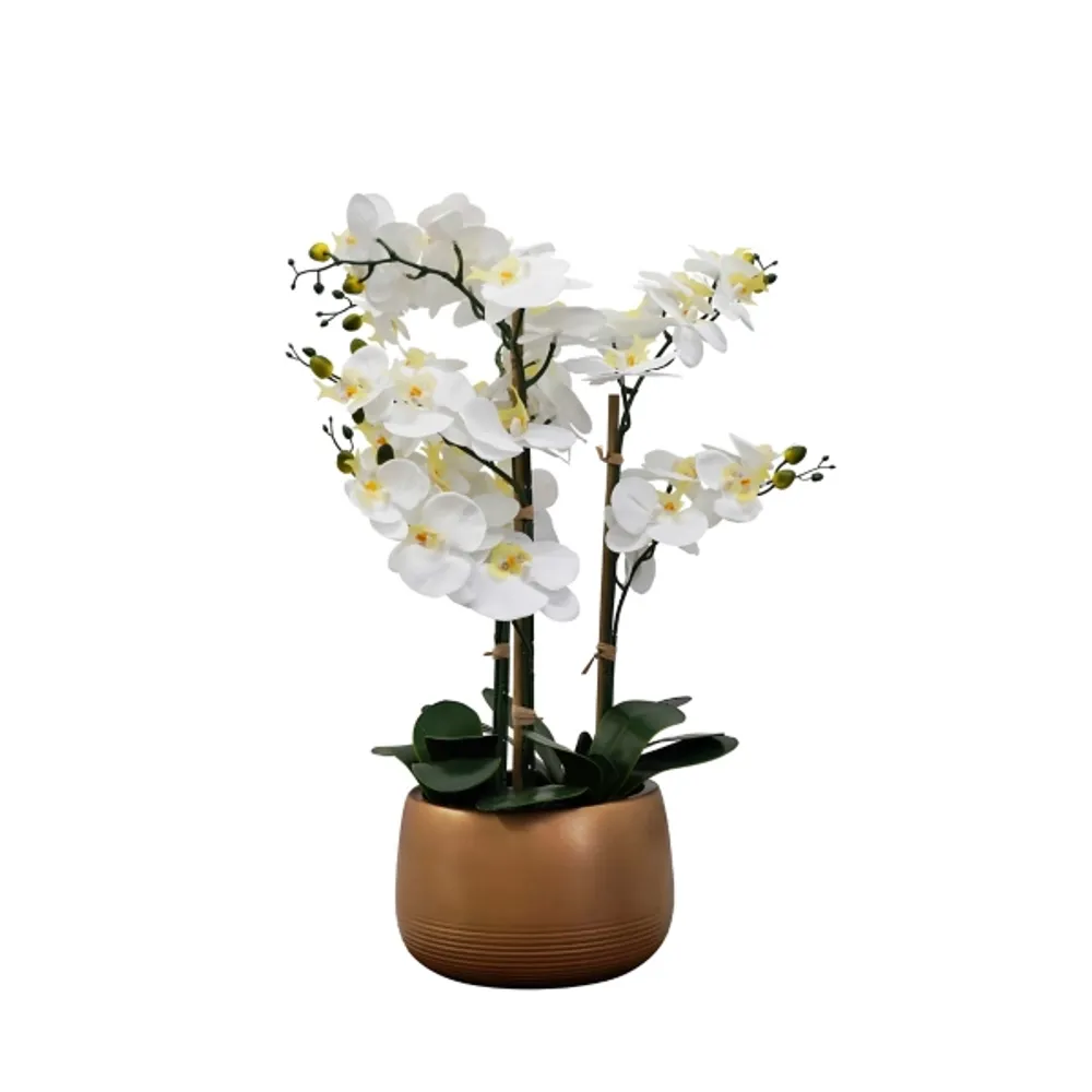 White Real Touch Orchid Arrangement in Gold Pot