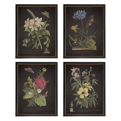 Night Butterfly Blooms Framed Art Prints, Set of 4