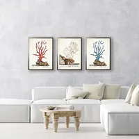 Vintage Coral Diagram Framed Art Prints, Set of 3