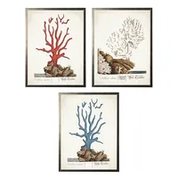 Vintage Coral Diagram Framed Art Prints, Set of 3