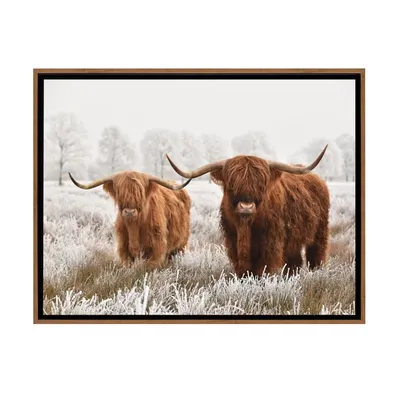 Highland Cattle Framed Art Print, 24x16