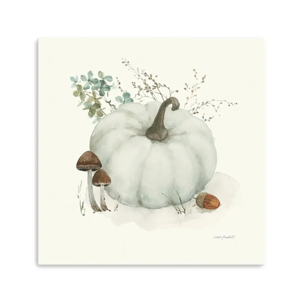 White Pumpkin Canvas Art Print