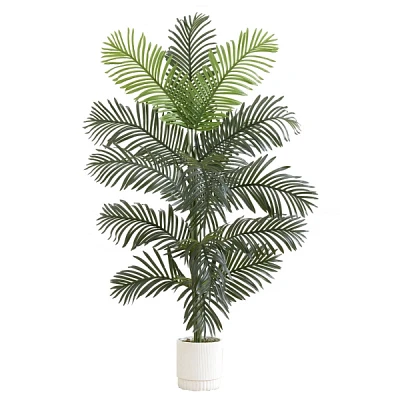Paradise Palm Tree in White Planter, 6 ft.