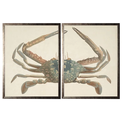 Split Crab Framed Art Prints