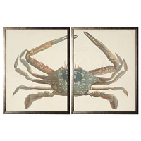 Split Crab Framed Art Prints