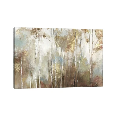 Fine Birch III Canvas Art Print