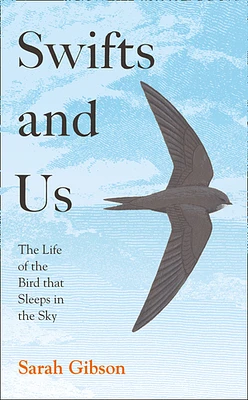 Swifts and Us: The Life of the Bird that Sleeps in the Sky